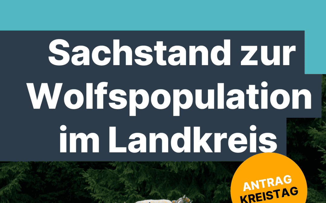 Sachstand und Ausblick zur Wolfpopulation im Landkreis Göttingen und Südniedersachsen